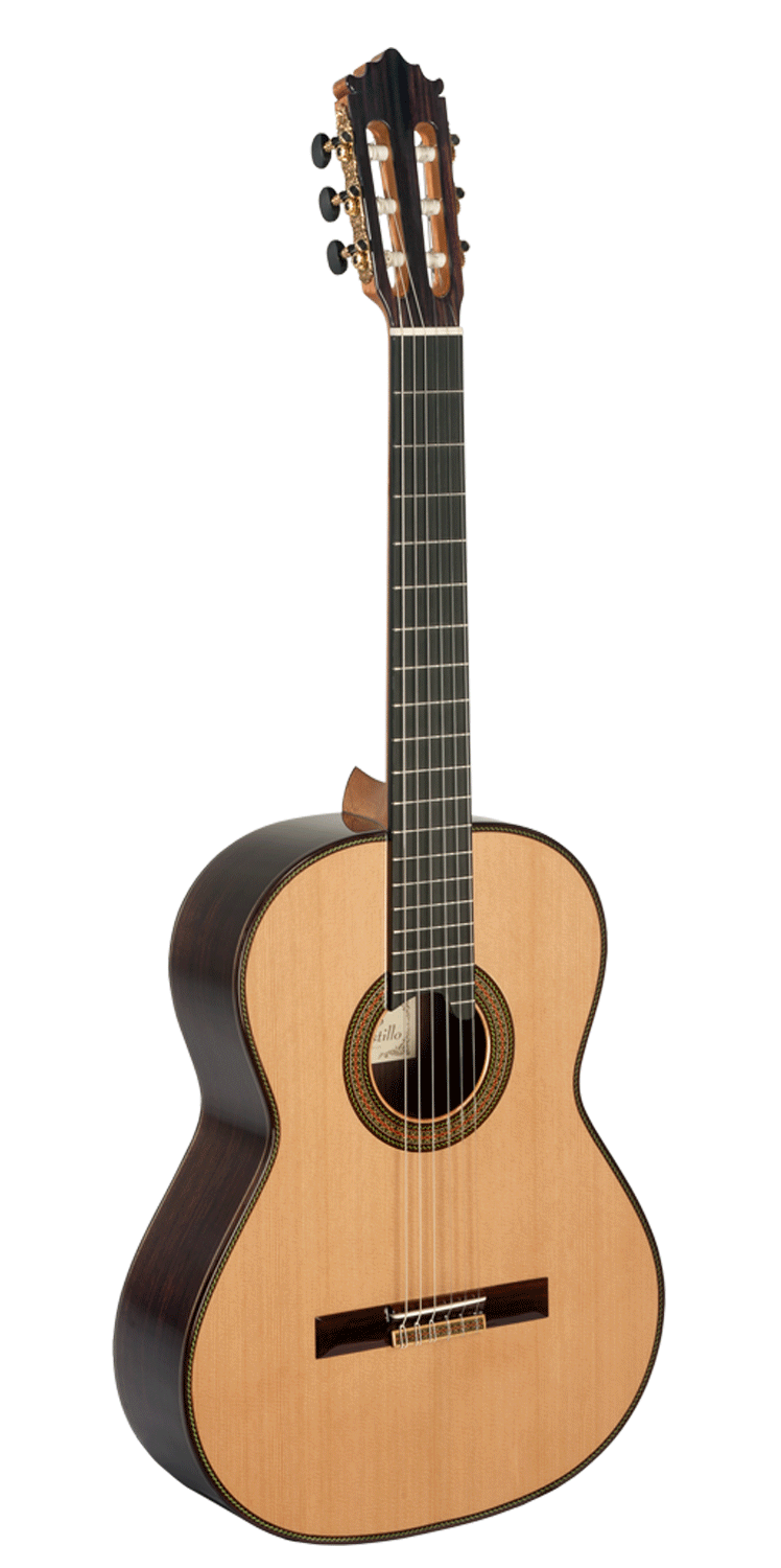 Guitarra 205